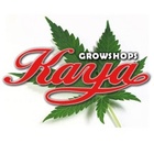 Avatar de Kaya