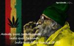 Avatar de Thc Thzinho