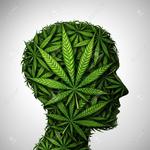 Avatar de Mmmedicinal