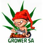Avatar de Grower SA