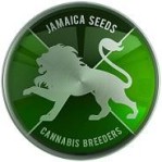 Avatar de Jamaica Seeds